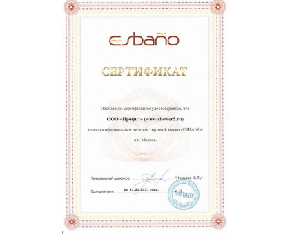 Душевая дверь в нишу ESBANO-90-2LD 90 см